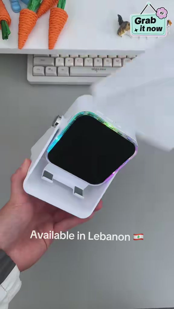 Wireless Induction Speaker